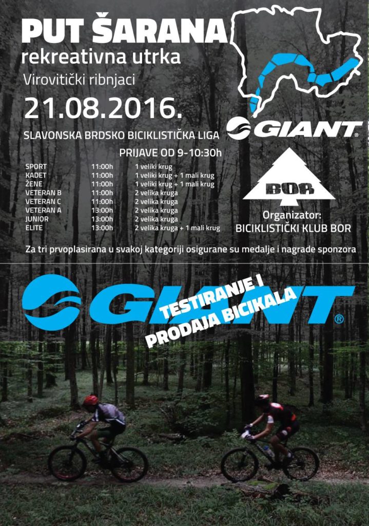 saran2016