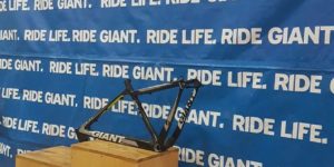 SBBL GIANT 2016., bk bor